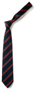 Kingsleigh Normal Tie9